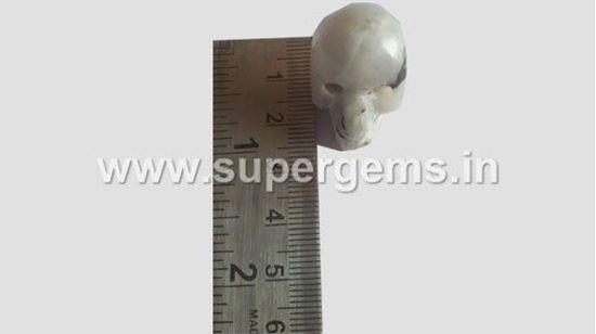 Picture of white rainbow skulls