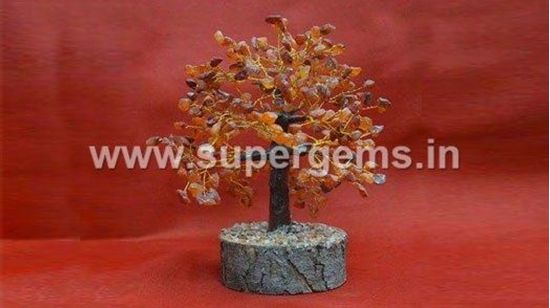 Picture of carnelian 100 chips tree